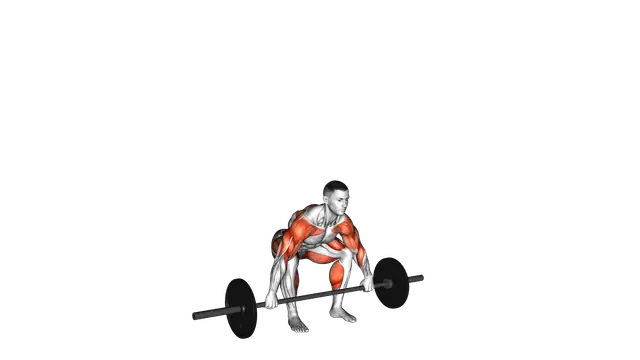 Barbell Hang Snatch exercise demonstration