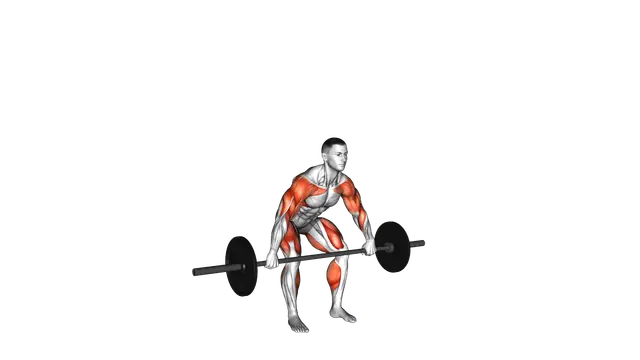 Barbell Hang Snatch Below the Knees exercise demonstration