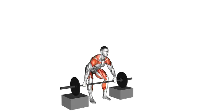 Barbell Snatch from Blocks exercise demonstration