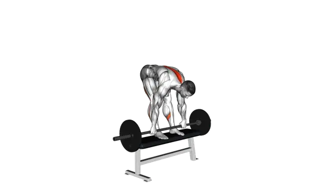 Barbell Stiff Leg Deadlift on Bench exercise demonstration