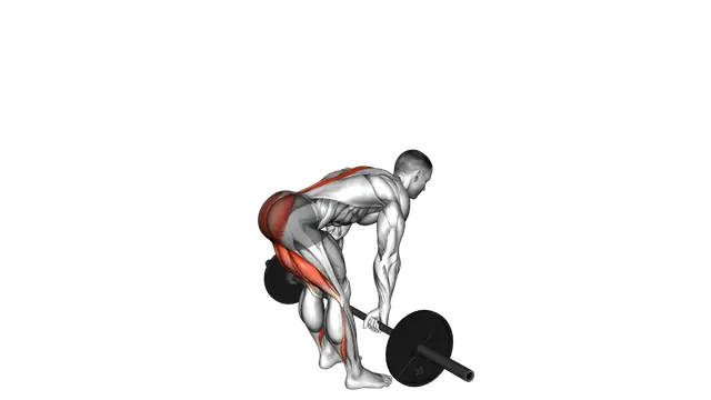 Barbell Stiff Legged Deadlift exercise demonstration