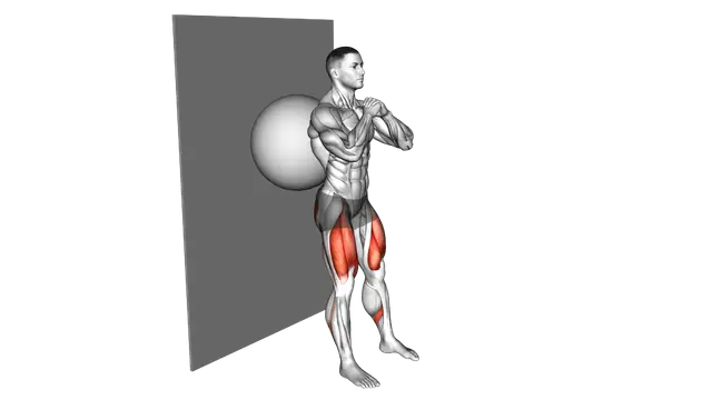 Exercise Ball Wall Squat exercise demonstration