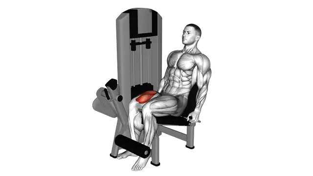 Lever One Leg Extension exercise demonstration