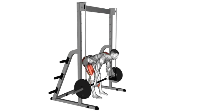 Smith Stiff Legged Deadlift exercise demonstration