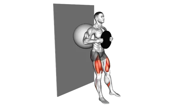 Weighted Exercise Ball Wall Squat exercise demonstration