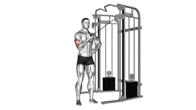 Cable One Arm Side Triceps Pushdown exercise demonstration