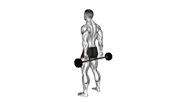 Barbell Behind Back Finger Curl exercise demonstration