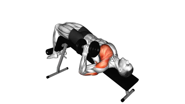 Dumbbell Decline One Arm Hammer Press exercise demonstration