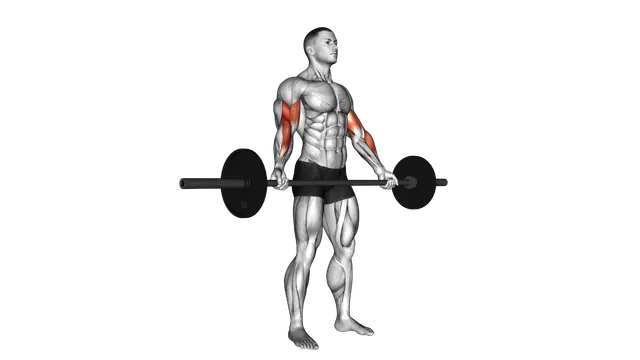 Barbell Standing Wide Grip Biceps Curl exercise demonstration