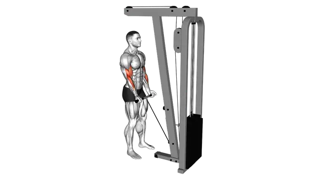Cable Close Grip Curl exercise demonstration