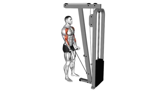 Cable Drag Curl exercise demonstration