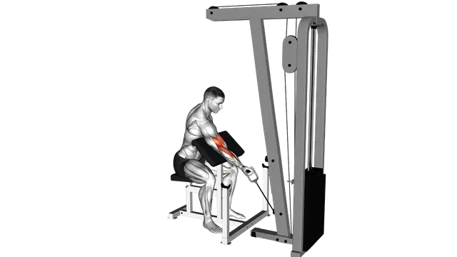 Cable One Arm Preacher Curl exercise demonstration