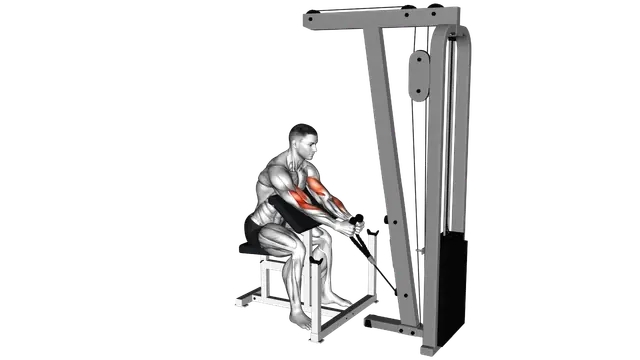 Cable Rope Hammer Preacher Curl exercise demonstration