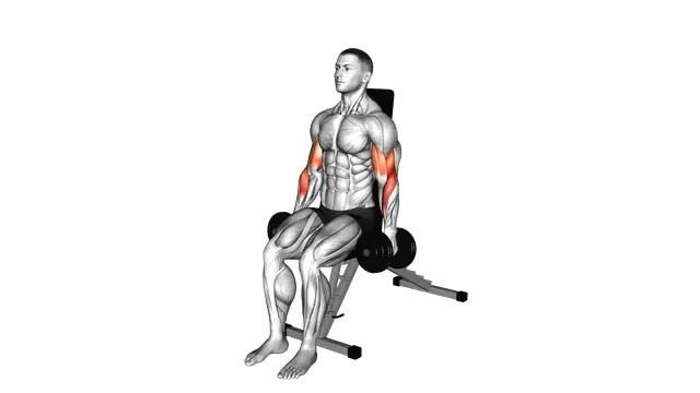Dumbbell Alternate Seated Hammer Curl exercise demonstration