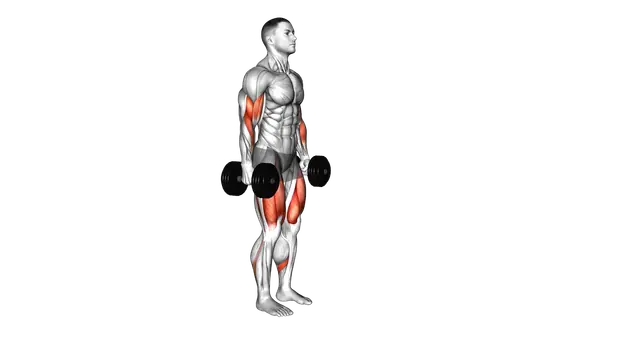Dumbbell Lunge with Bicep Curl exercise demonstration