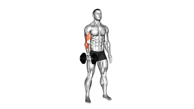 Dumbbell One Arm Standing Curl exercise demonstration