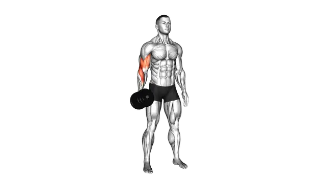 Dumbbell One Arm Standing Hammer Curl exercise demonstration