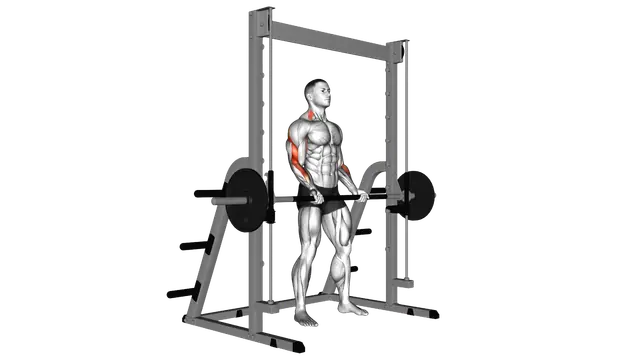Smith Machine Bicep Curl exercise demonstration