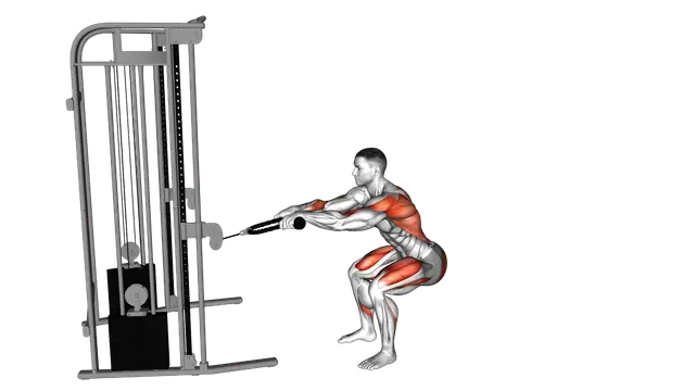 Cable Squat Row (with rope attachment) exercise demonstration