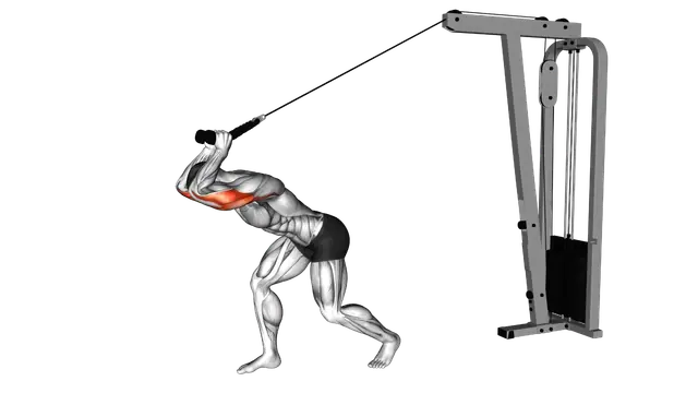 Cable High Pulley Overhead Tricep Extension exercise demonstration