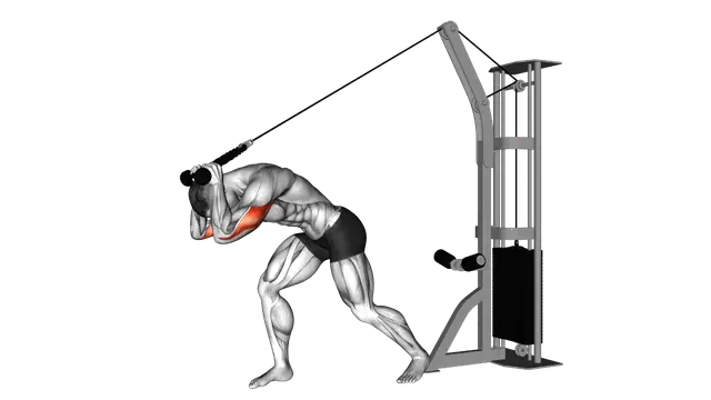 Cable Rope High Pulley Overhead Tricep Extension exercise demonstration