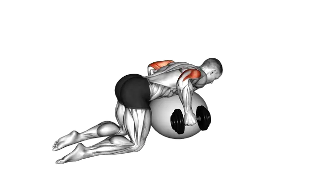 Dumbbell Kickbacks on Exercise Ball exercise demonstration