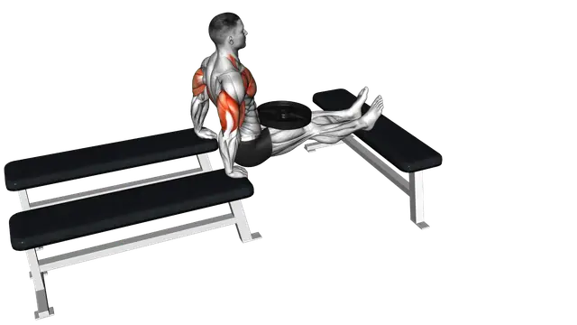 Weighted Three Bench Dips exercise demonstration
