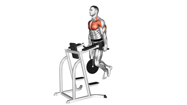 Weighted Tricep Dips exercise demonstration