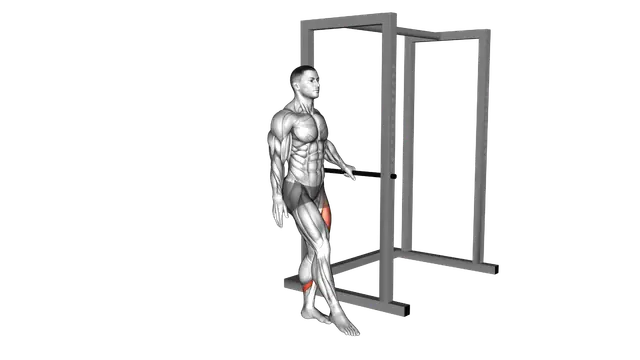 Single Leg Squat with Support (pistol) exercise demonstration