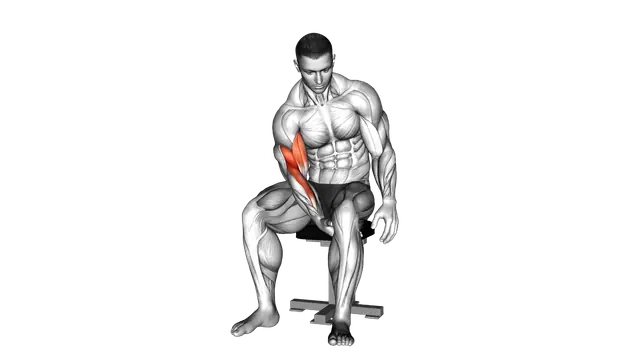 Biceps Leg Concentration Curl exercise demonstration