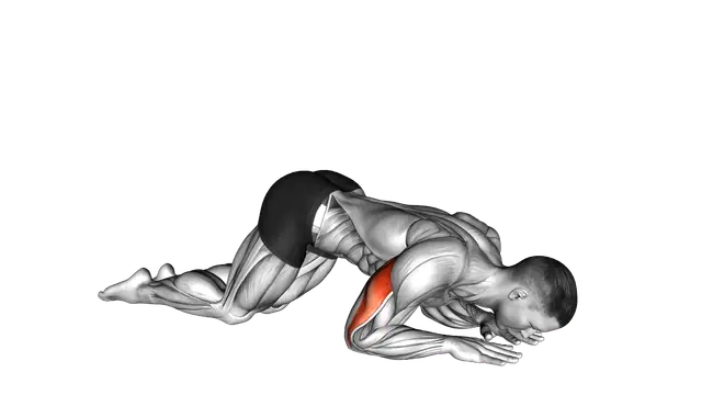 Bodyweight Kneeling Triceps Extension exercise demonstration