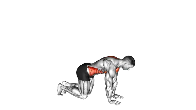 Kneeling Back Rotation Stretch exercise demonstration