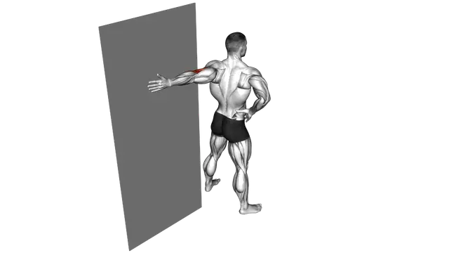 Elbow Flexor Stretch exercise demonstration