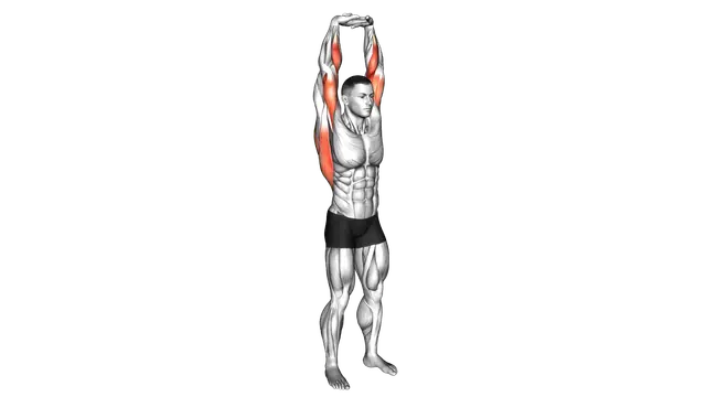 Extension Of Arms In Vertical Stretch exercise demonstration