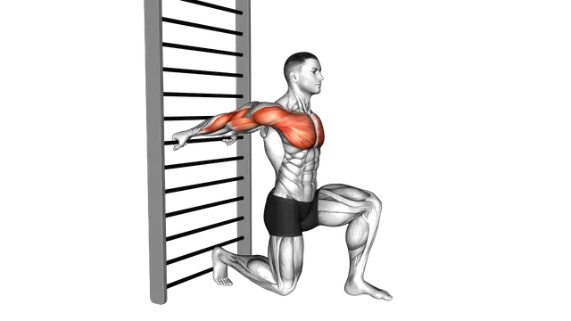 Arms Stretch On a Support exercise demonstration