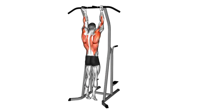 Supination Bar Suspension Stretch exercise demonstration