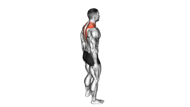 Forward Flexion Neck Stretch exercise demonstration