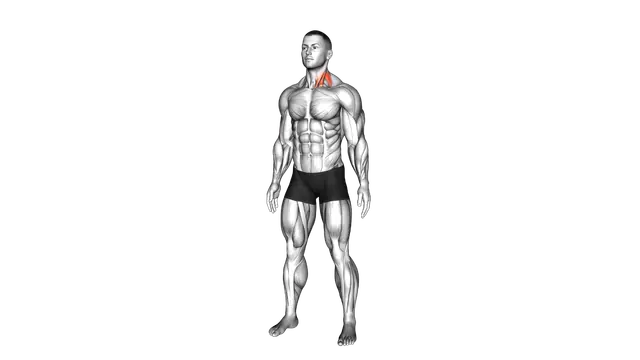Neck Extensor And Rotational Stretch exercise demonstration