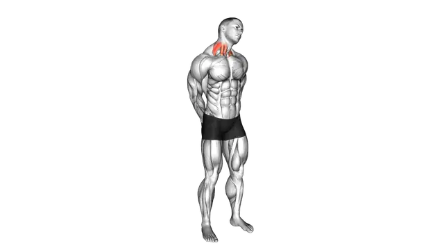 Extension And Inclination Neck Stretch exercise demonstration