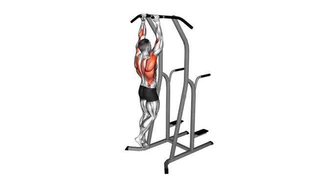 Hammer Grip Pull up on Dip Cage exercise demonstration
