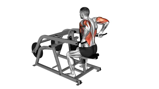 Lever Triceps Dip (plate loaded) exercise demonstration