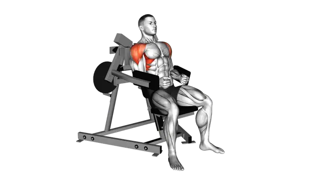 Lever Lateral Raise (plate loaded) exercise demonstration