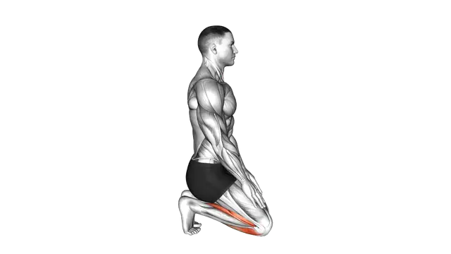 Toe Squat Stretch exercise demonstration