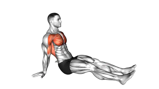 Seated Shoulder Flexor Depresor Retractor Stretch exercise demonstration