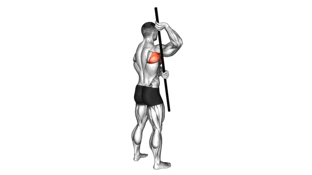 Arm Up Rotator Stretch exercise demonstration