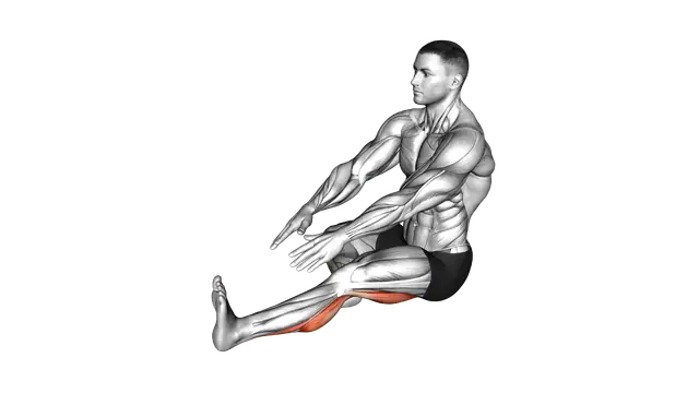 Sitting Toe Pull Calf Stretch exercise demonstration