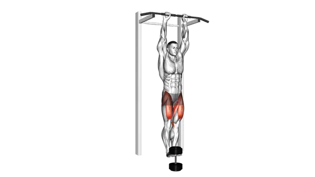 Weighted Hanging Straight Leg Raise exercise demonstration
