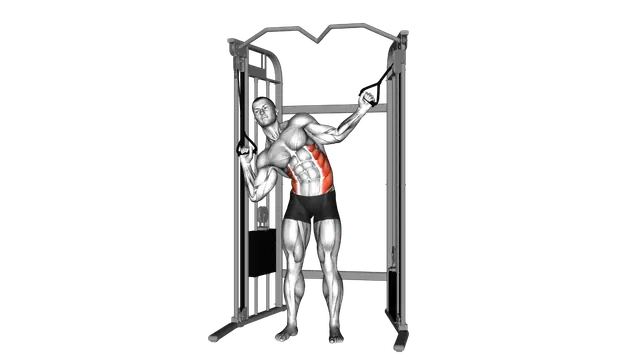 Cable Standing Serratus (Obliques) crunch exercise demonstration