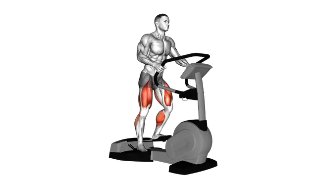 Walk Wave Machine exercise demonstration