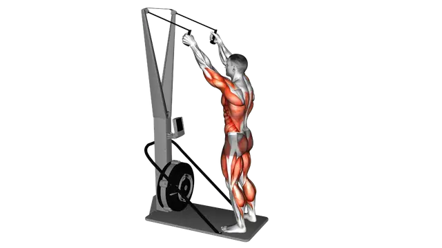 Ski Ergometer exercise demonstration
